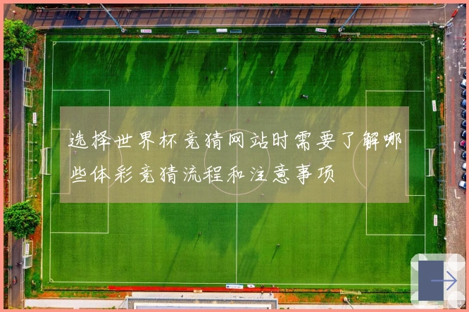 选择世界杯竞猜网站时需要了解哪些体彩竞猜流程和注意事项