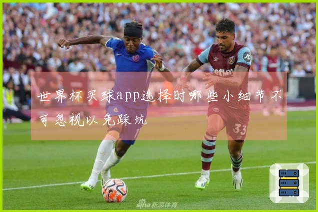 世界杯买球app选择时哪些小细节不可忽视以免踩坑