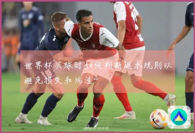 世界杯买球时如何判断返水规则以避免损失和坑洼-