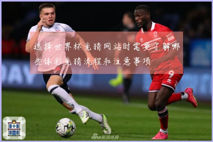 选择世界杯竞猜网站时需要了解哪些体彩竞猜流程和注意事项