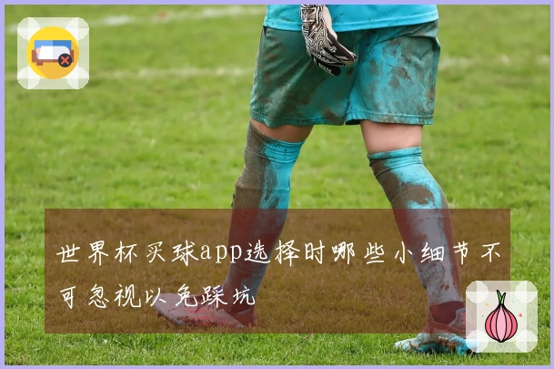 世界杯买球app选择时哪些小细节不可忽视以免踩坑